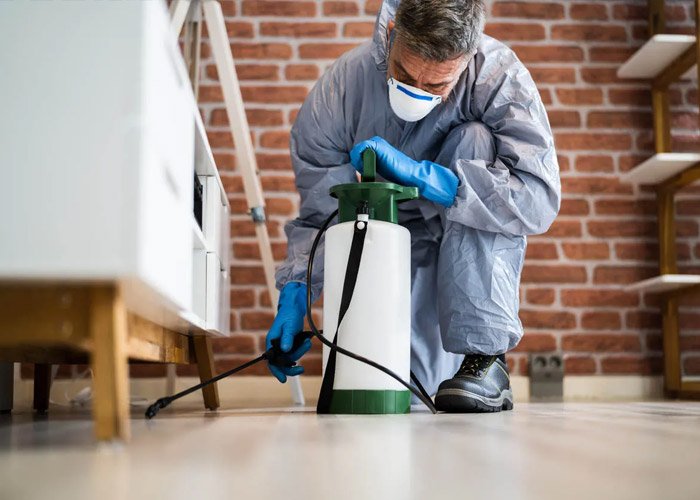 Home Pest Protection